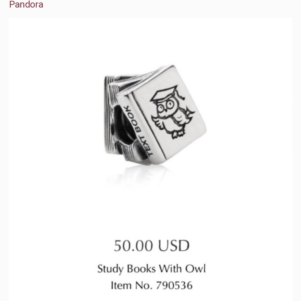 Like New Study books Pandora Charm🦉📚